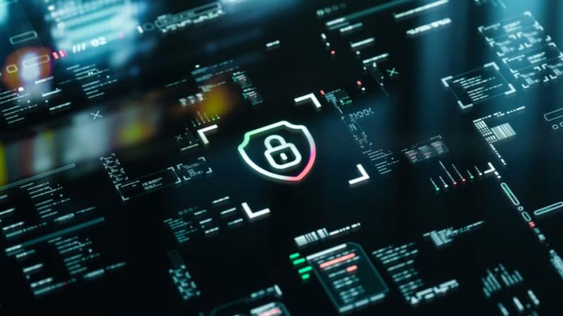 越秀区软件开发公司